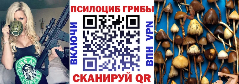 Псилоцибиновые грибы прущие грибы  Бавлы 